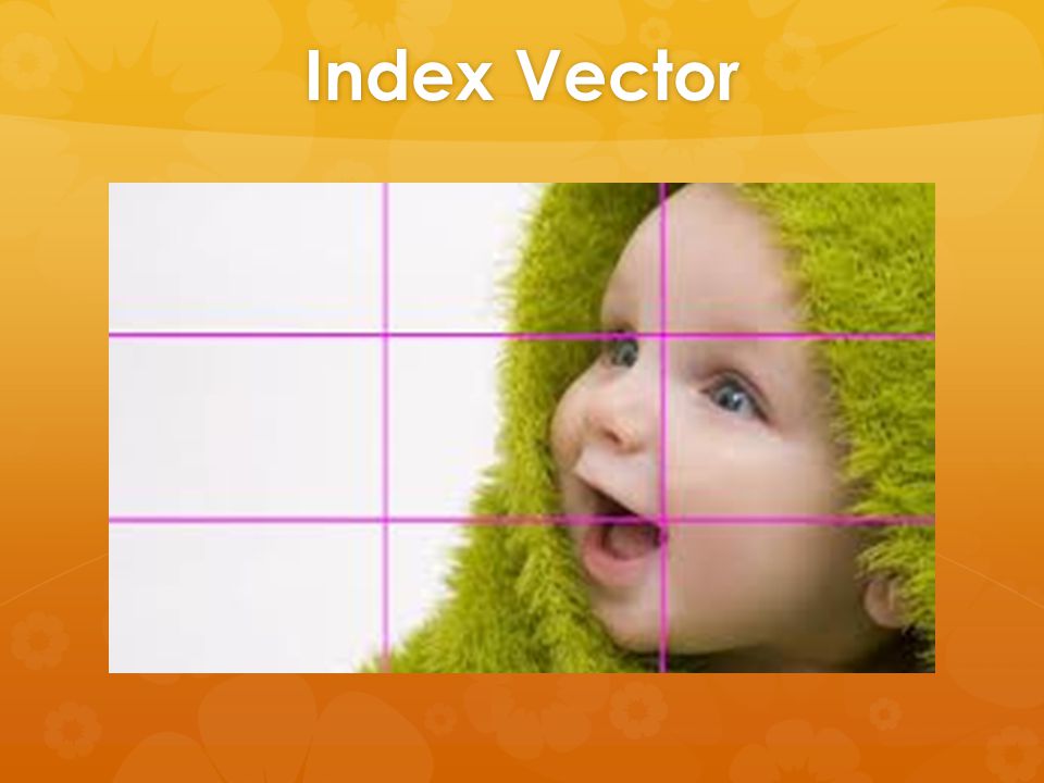 Index Vector