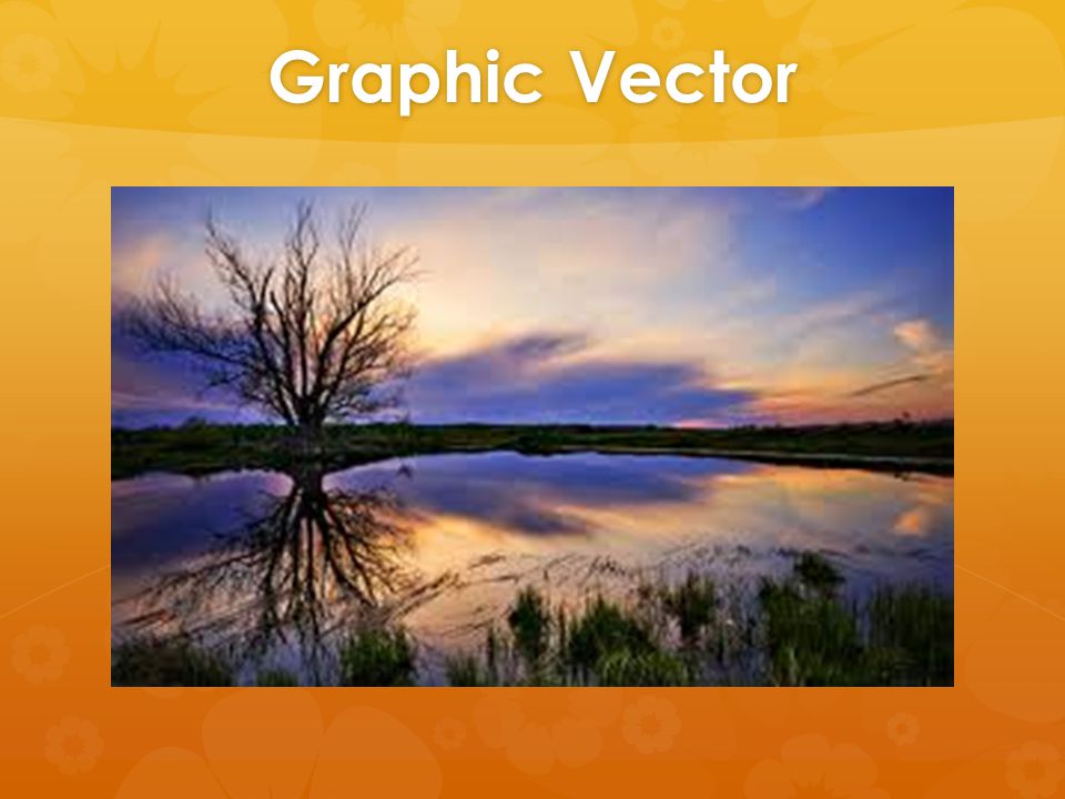 Graphic Vector