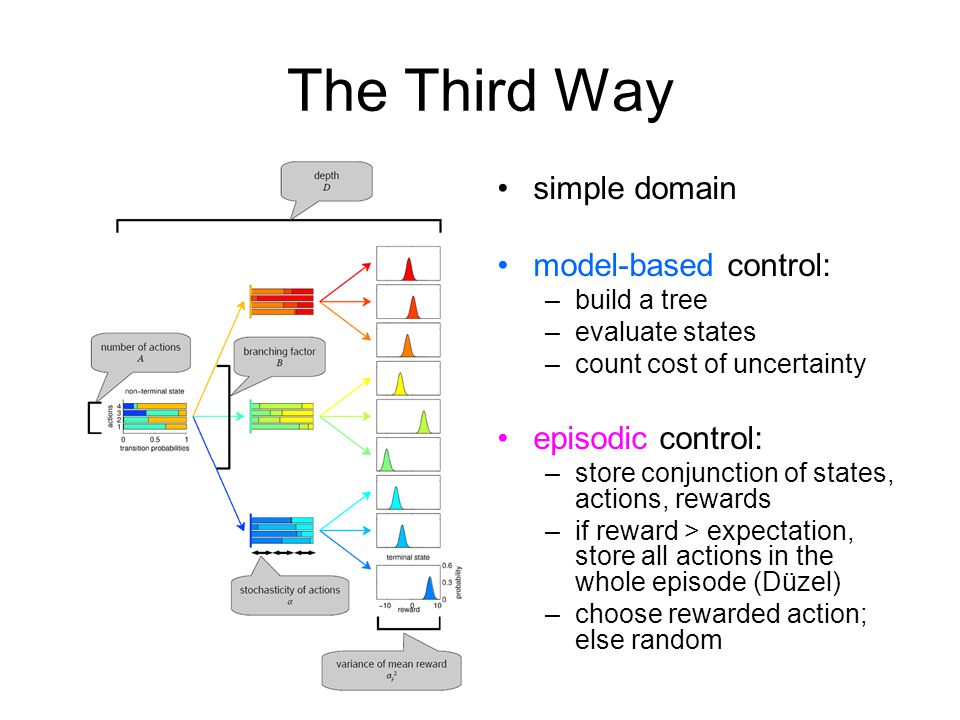 The Third Way simple domain model-based control: –build a tree –evaluate states –count cost of uncertainty episodic control: –store conjunction of states, actions, rewards –if reward > expectation, store all actions in the whole episode (Düzel) –choose rewarded action; else random