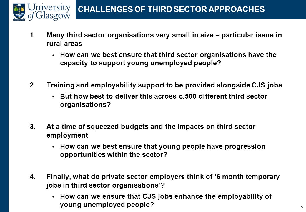 CHALLENGES OF THIRD SECTOR APPROACHES 1.Many third sector organisations very small in size – particular issue in rural areas How can we best ensure that third sector organisations have the capacity to support young unemployed people.
