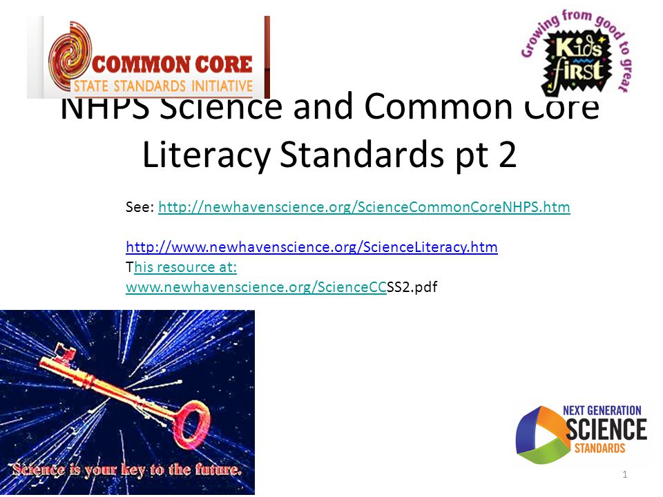 essay animal experimentation homeschool