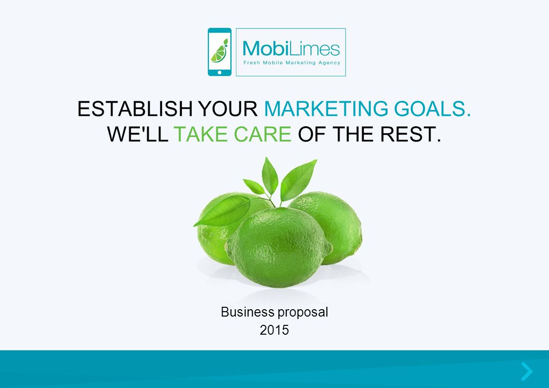 ESTABLISH YOUR MARKETING GOALS. WE LL TAKE CARE OF THE REST. Business proposal 2015