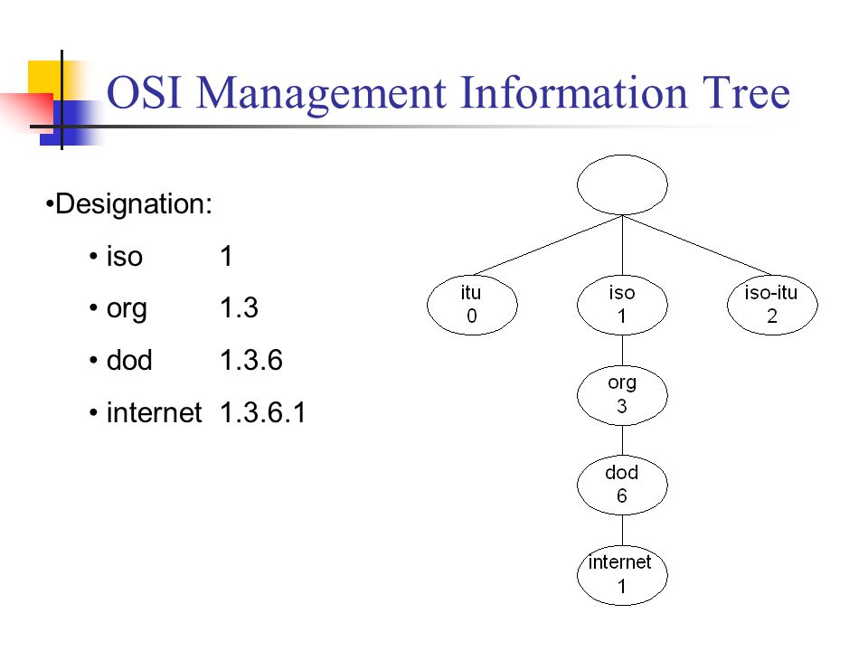 OSI Management Information Tree Designation: iso1 org1.3 dod1.3.6 internet