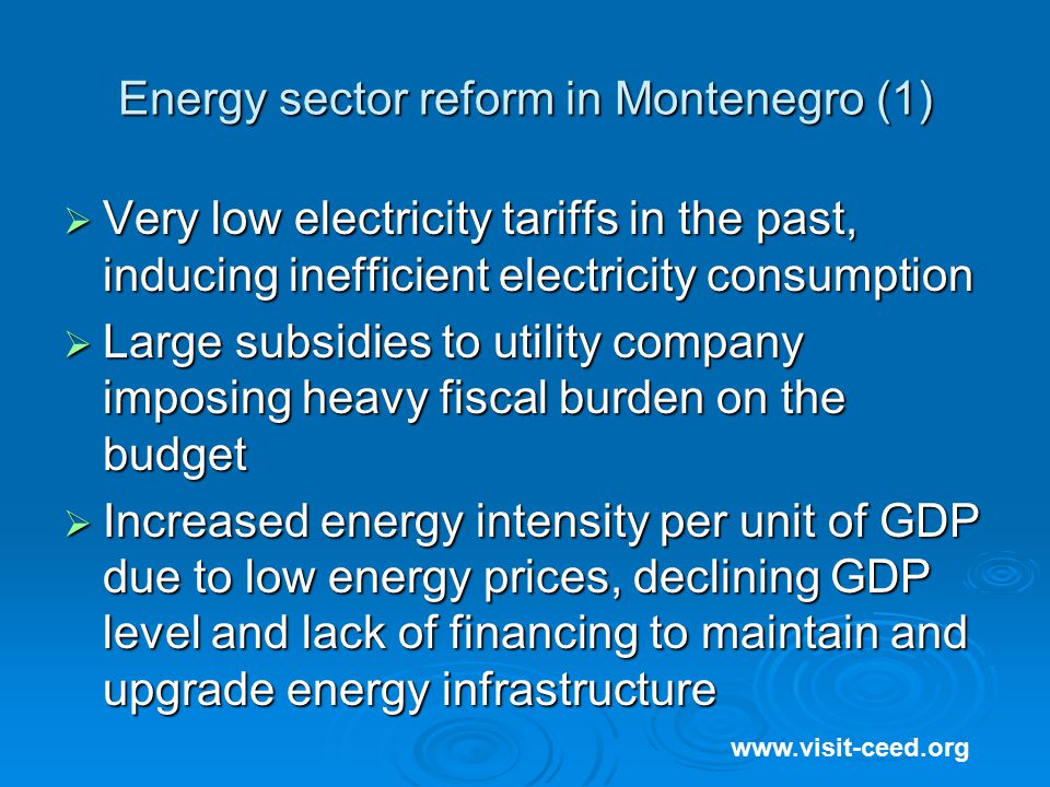 Energy sector reform in Montenegro (1)    Very low electricity tariffs in the past, inducing inefficient electricity consumption  Large subsidies to utility company imposing heavy fiscal burden on the budget  Increased energy intensity per unit of GDP due to low energy prices, declining GDP level and lack of financing to maintain and upgrade energy infrastructure