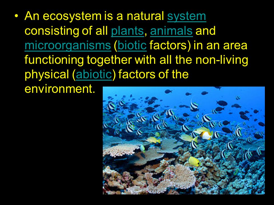 An ecosystem is a natural system consisting of all plants, animals and microorganisms (biotic factors) in an area functioning together with all the non-living physical (abiotic) factors of the environment.systemplantsanimals microorganismsbioticabiotic