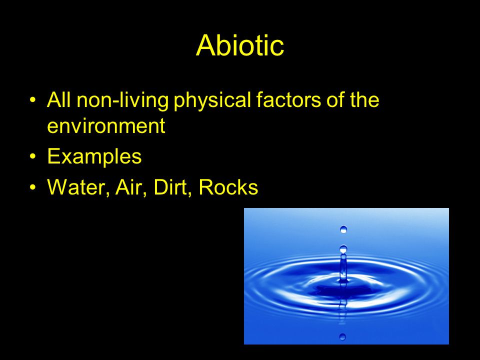 Abiotic All non-living physical factors of the environment Examples Water, Air, Dirt, Rocks