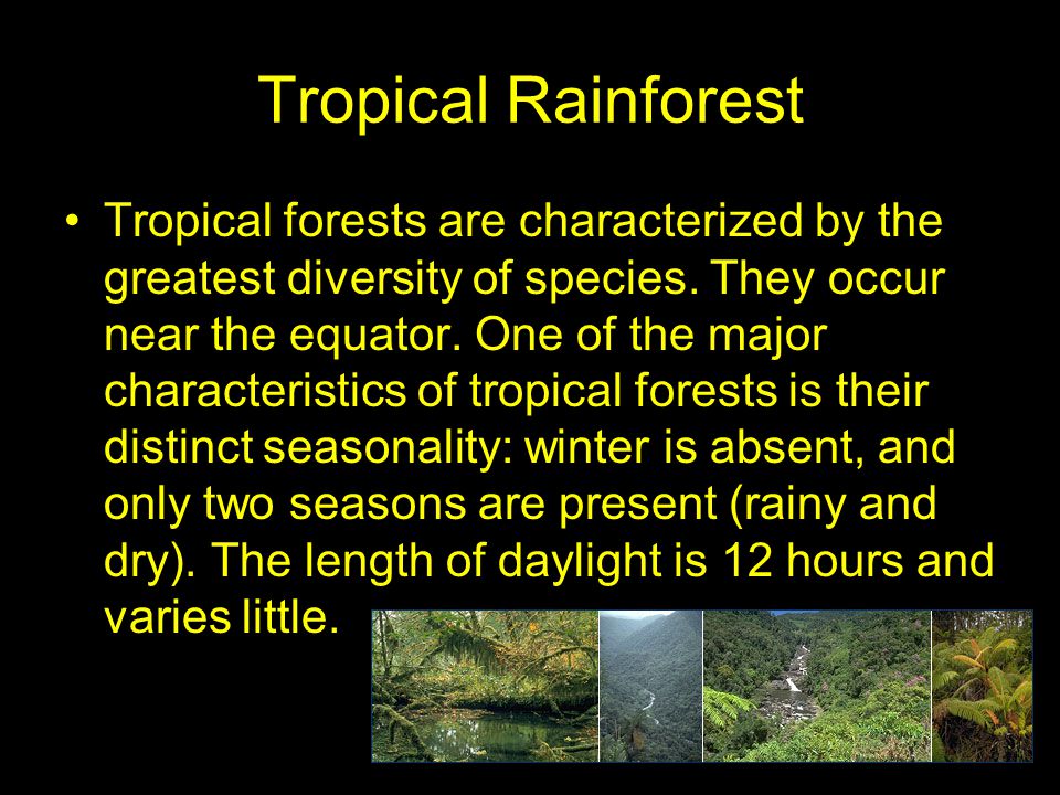 Tropical Rainforest Tropical forests are characterized by the greatest diversity of species.