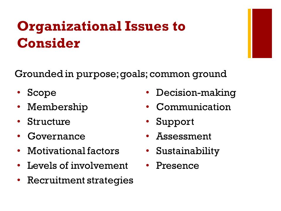 Organizational Issues to Consider Scope Membership Structure Governance Motivational factors Levels of involvement Recruitment strategies Decision-making Communication Support Assessment Sustainability Presence Grounded in purpose; goals; common ground