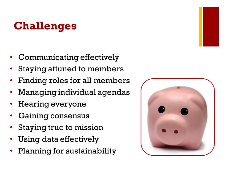 Challenges Communicating effectively Staying attuned to members Finding roles for all members Managing individual agendas Hearing everyone Gaining consensus Staying true to mission Using data effectively Planning for sustainability