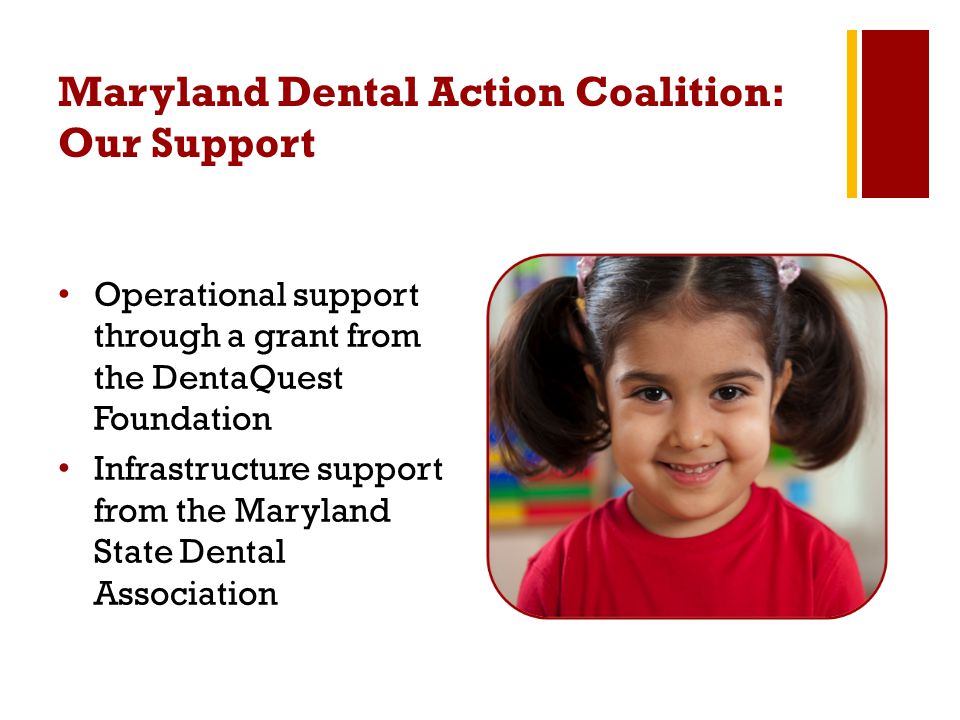 Maryland Dental Action Coalition: Our Support Operational support through a grant from the DentaQuest Foundation Infrastructure support from the Maryland State Dental Association