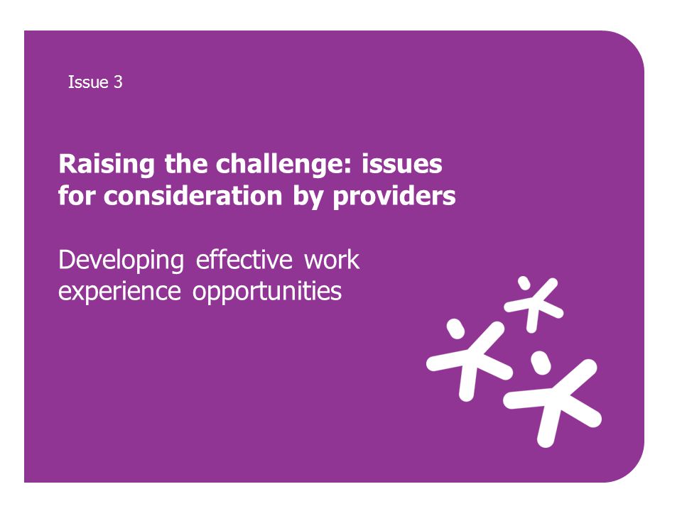 Raising the challenge: issues for consideration by providers Developing effective work experience opportunities Issue 3