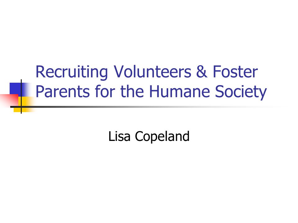 Recruiting Volunteers & Foster Parents for the Humane Society Lisa Copeland