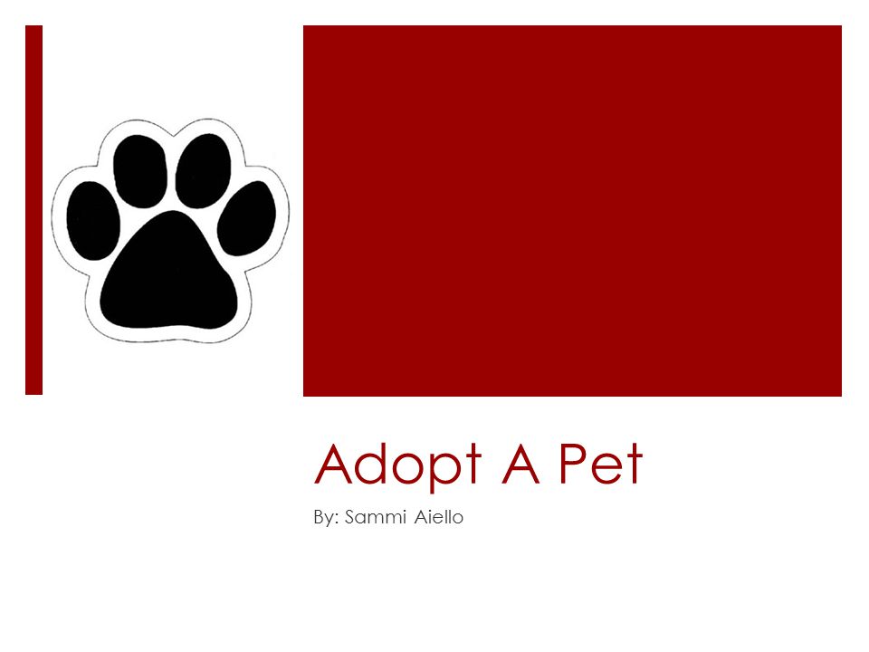 Adopt A Pet By: Sammi Aiello