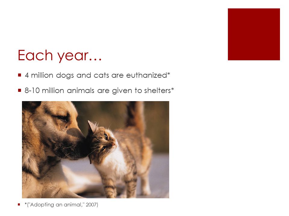 Each year…  4 million dogs and cats are euthanized*  8-10 million animals are given to shelters*  *( Adopting an animal, 2007)
