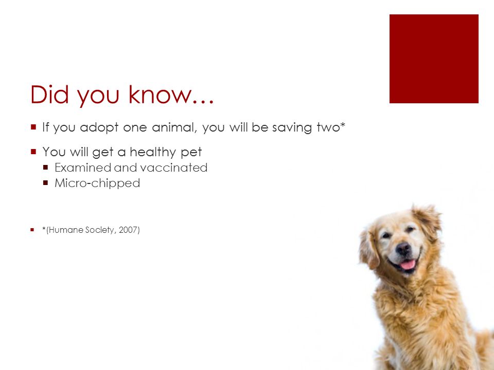 Did you know…  If you adopt one animal, you will be saving two*  You will get a healthy pet  Examined and vaccinated  Micro-chipped  *(Humane Society, 2007)