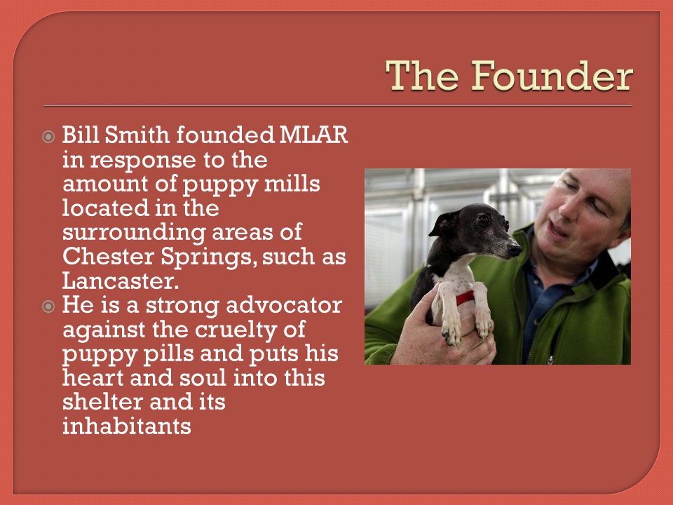  Bill Smith founded MLAR in response to the amount of puppy mills located in the surrounding areas of Chester Springs, such as Lancaster.