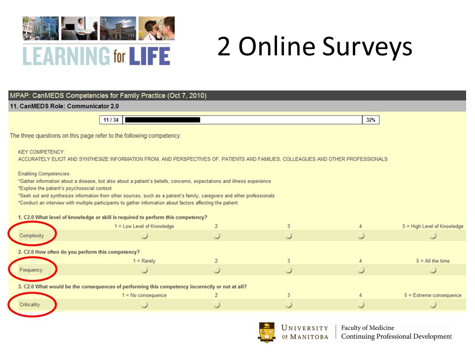 2 Online Surveys