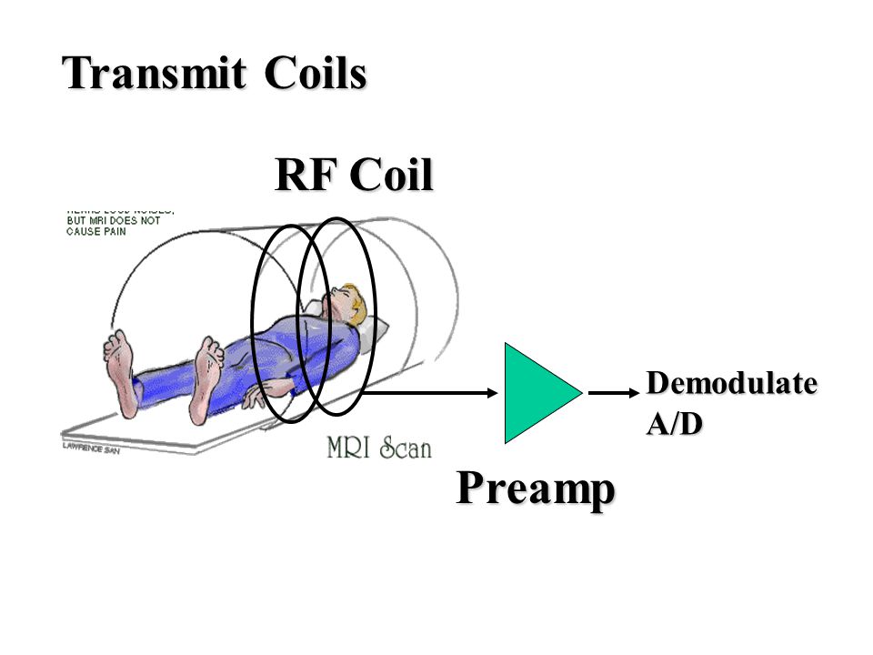 Transmit Coils Preamp DemodulateA/D RF Coil