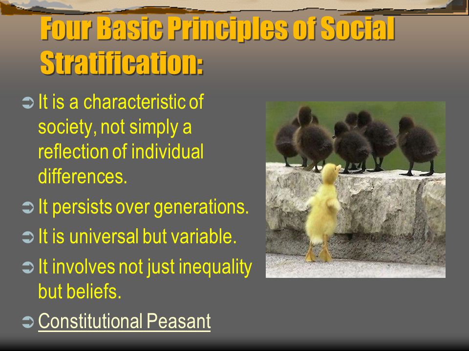 Four Basic Principles of Social Stratification:  It is a characteristic of society, not simply a reflection of individual differences.