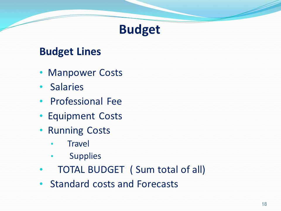 Budget Budget Lines Manpower Costs Salaries Professional Fee Equipment Costs Running Costs Travel Supplies TOTAL BUDGET ( Sum total of all) Standard costs and Forecasts 18