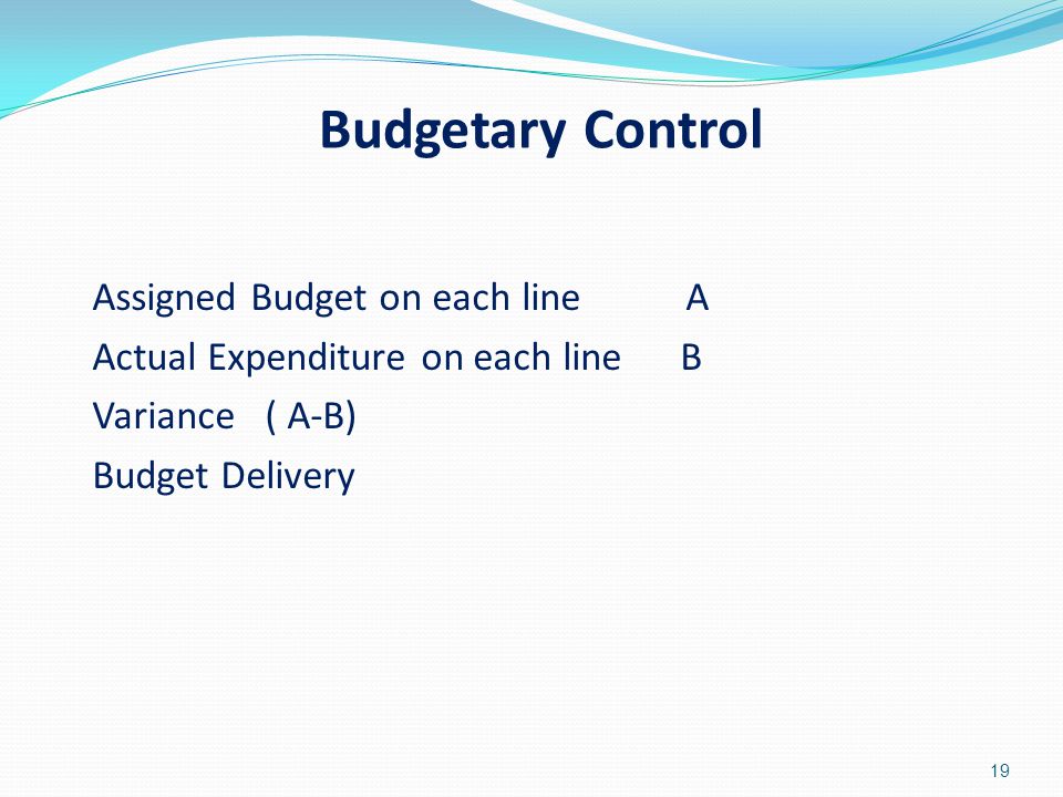Budgetary Control Assigned Budget on each line A Actual Expenditure on each line B Variance ( A-B) Budget Delivery 19