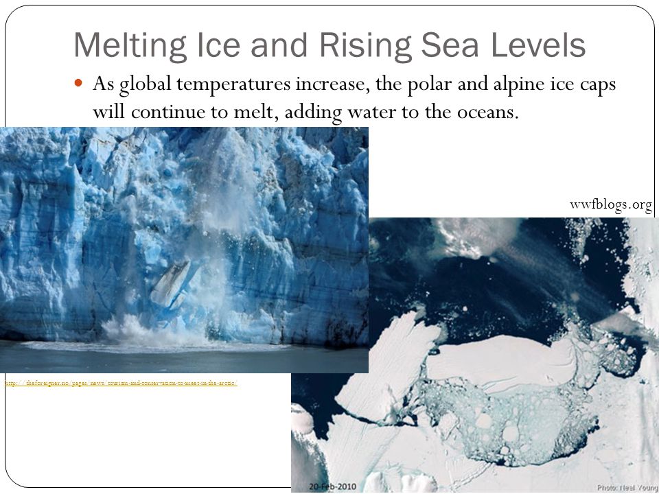 Melting Ice and Rising Sea Levels As global temperatures increase, the polar and alpine ice caps will continue to melt, adding water to the oceans.