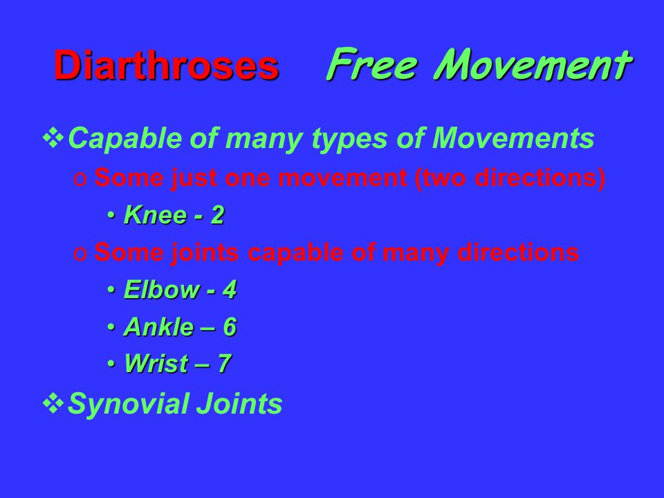 Diarthroses  Capable of many types of Movements oSome just one movement (two directions) Knee - 2Knee - 2 oSome joints capable of many directions Elbow - 4Elbow - 4 Ankle – 6Ankle – 6 Wrist – 7Wrist – 7  Synovial Joints Free Movement