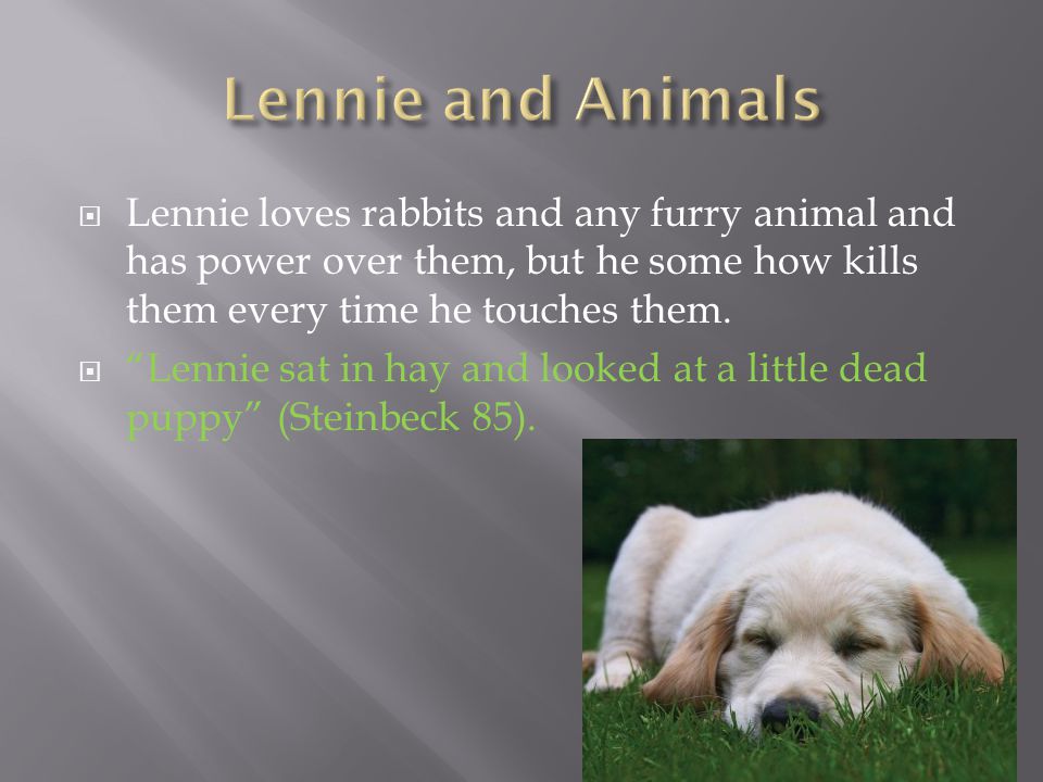 what does lennie say when he kills the puppy