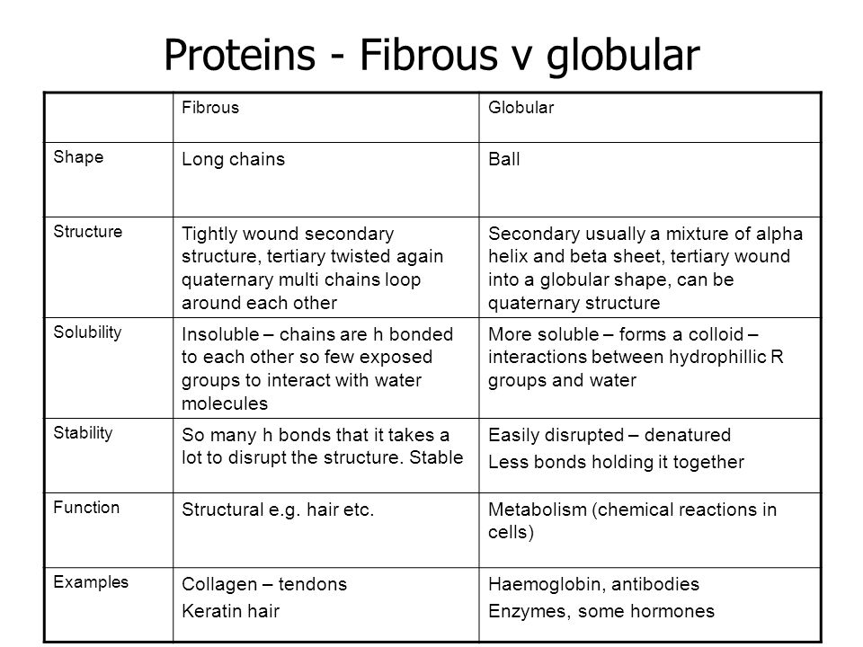 Homework 1 Make A Table To Contrast The Features Of Fibrous And