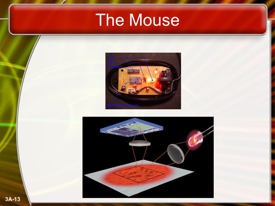 The Mouse 3A-13