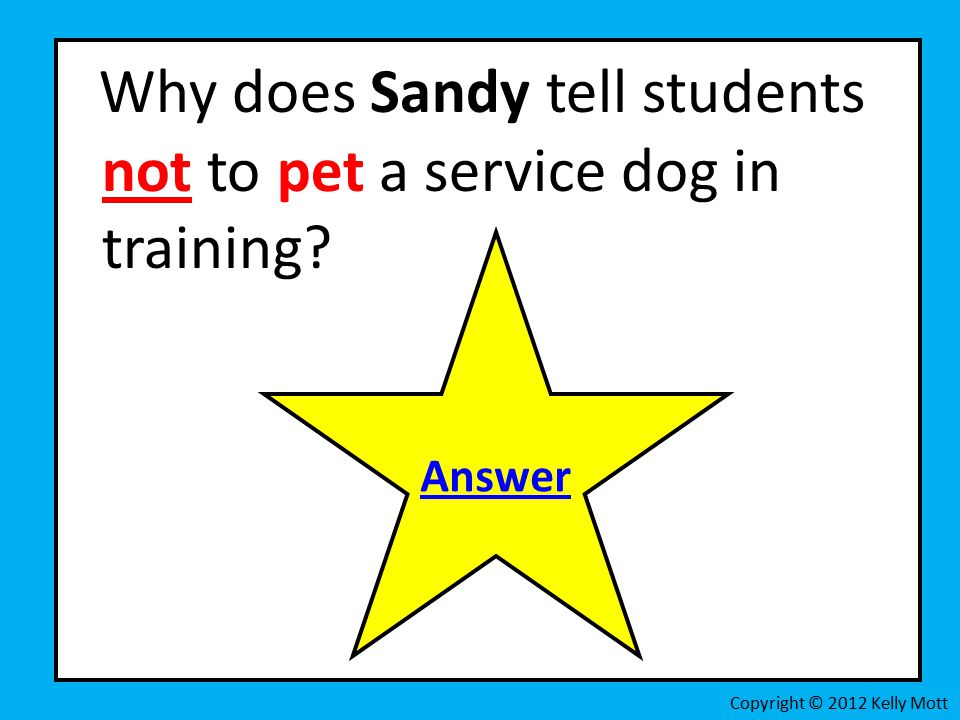 Why does Sandy tell students not to pet a service dog in training.