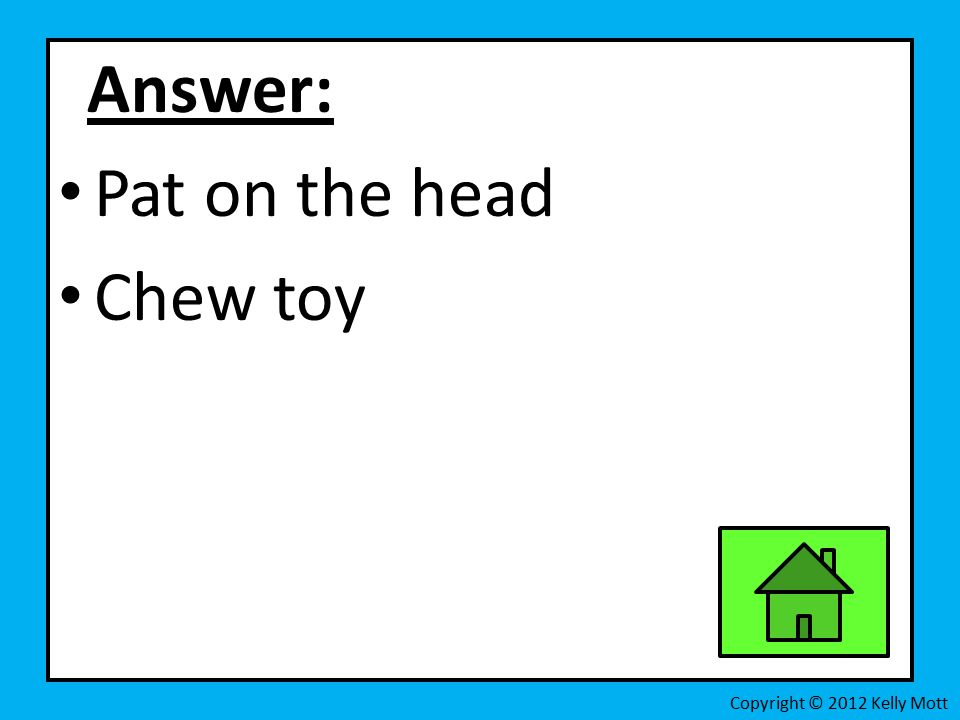 Answer: Pat on the head Chew toy Copyright © 2012 Kelly Mott
