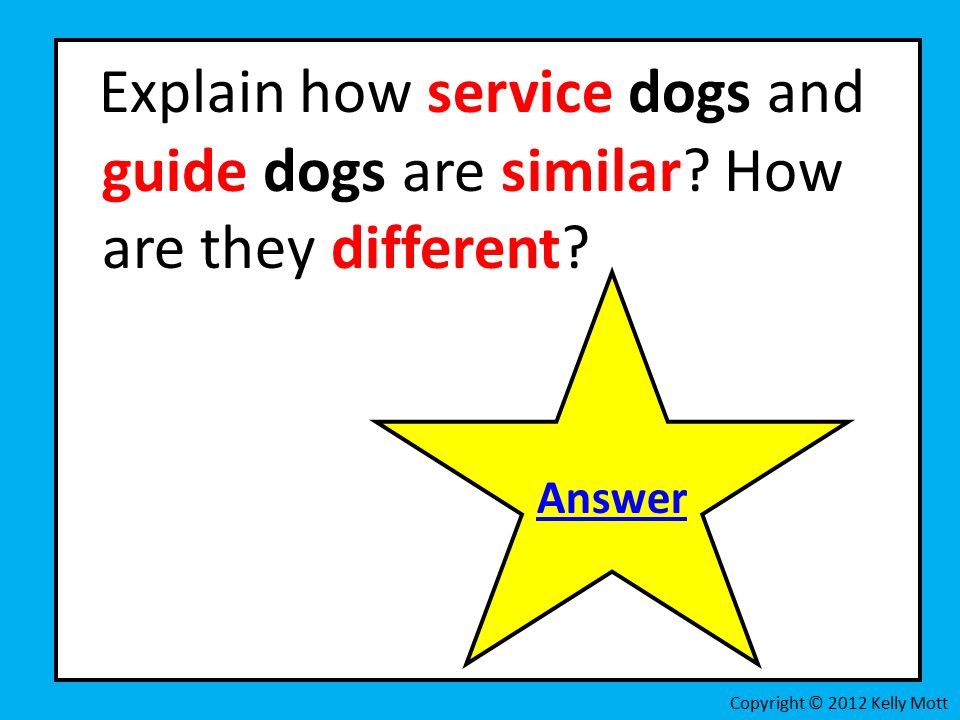 Explain how service dogs and guide dogs are similar.