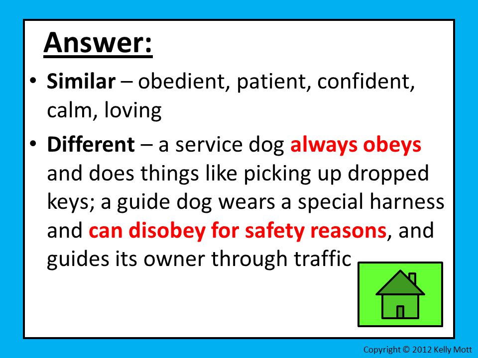 Answer: Similar – obedient, patient, confident, calm, loving Different – a service dog always obeys and does things like picking up dropped keys; a guide dog wears a special harness and can disobey for safety reasons, and guides its owner through traffic Copyright © 2012 Kelly Mott