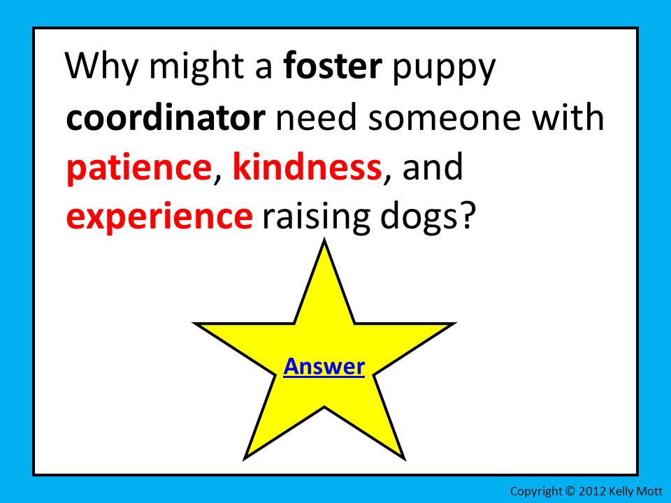 Why might a foster puppy coordinator need someone with patience, kindness, and experience raising dogs.