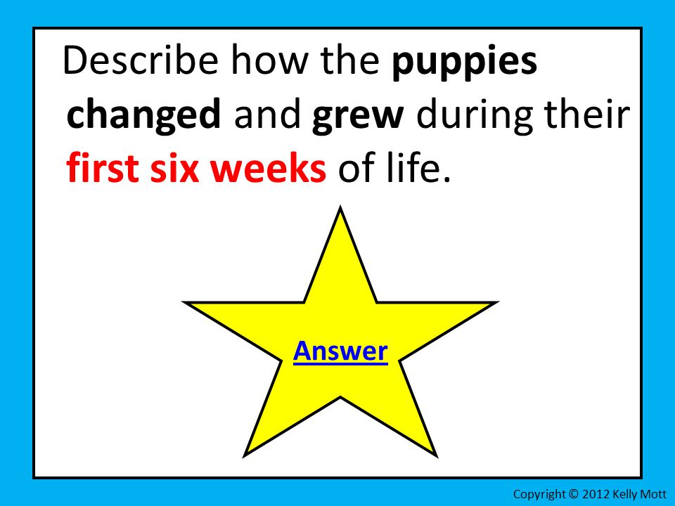 Describe how the puppies changed and grew during their first six weeks of life.