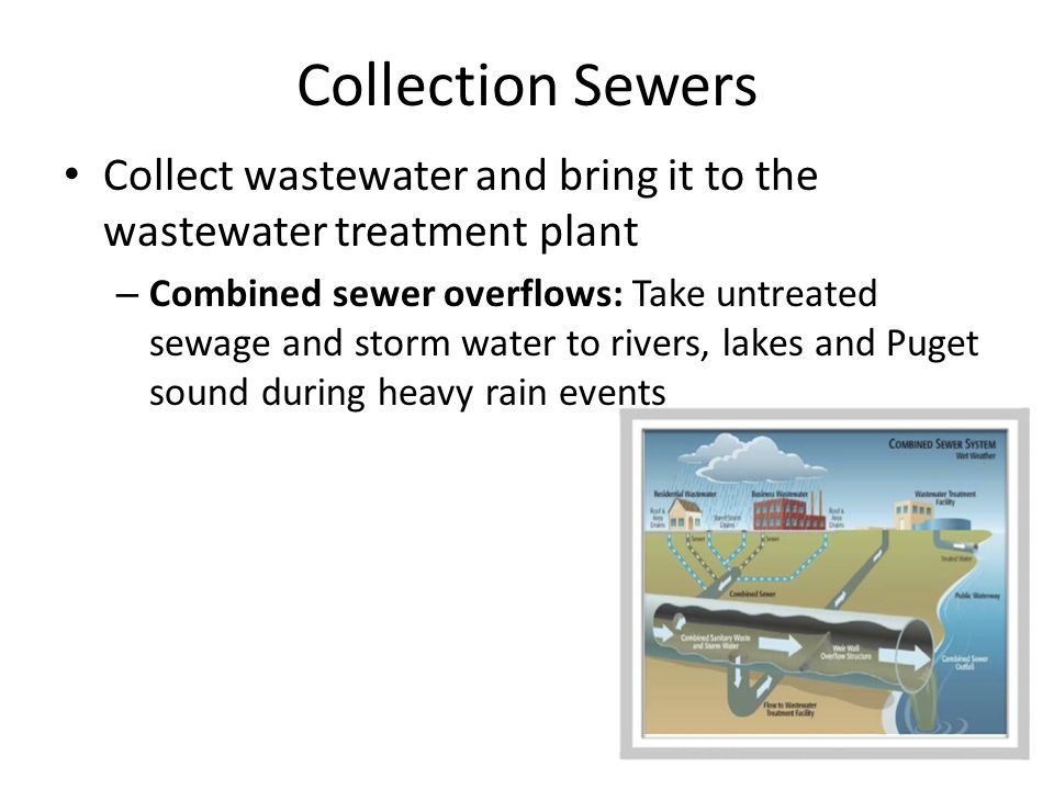 Collection Sewers Collect wastewater and bring it to the wastewater treatment plant – Combined sewer overflows: Take untreated sewage and storm water to rivers, lakes and Puget sound during heavy rain events