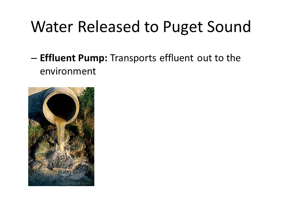 Water Released to Puget Sound – Effluent Pump: Transports effluent out to the environment