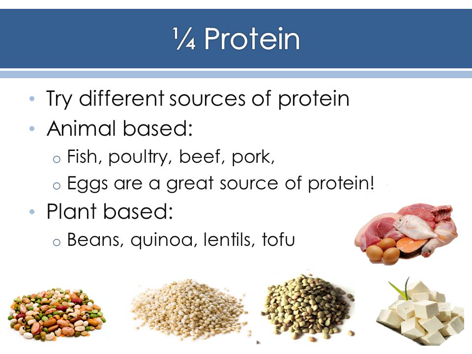 Try different sources of protein Animal based: o Fish, poultry, beef, pork, o Eggs are a great source of protein.