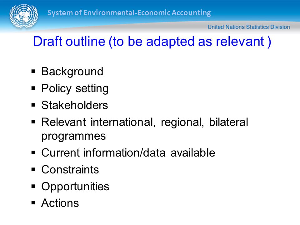 System of Environmental-Economic Accounting Draft outline (to be adapted as relevant )  Background  Policy setting  Stakeholders  Relevant international, regional, bilateral programmes  Current information/data available  Constraints  Opportunities  Actions