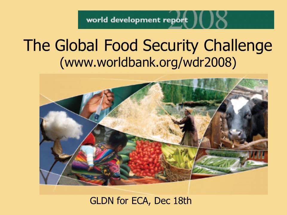The Global Food Security Challenge (  GLDN for ECA, Dec 18th