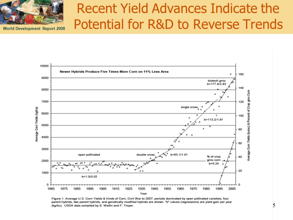 World Development Report 2008 Recent Yield Advances Indicate the Potential for R&D to Reverse Trends 15