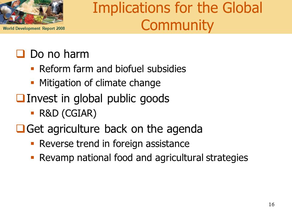 World Development Report 2008 Implications for the Global Community  Do no harm  Reform farm and biofuel subsidies  Mitigation of climate change  Invest in global public goods  R&D (CGIAR)  Get agriculture back on the agenda  Reverse trend in foreign assistance  Revamp national food and agricultural strategies 16