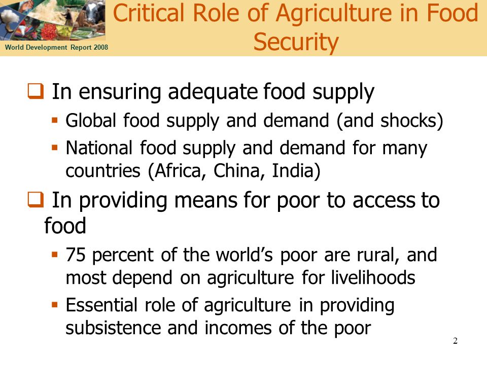 World Development Report 2008 Critical Role of Agriculture in Food Security  In ensuring adequate food supply  Global food supply and demand (and shocks)  National food supply and demand for many countries (Africa, China, India)  In providing means for poor to access to food  75 percent of the world’s poor are rural, and most depend on agriculture for livelihoods  Essential role of agriculture in providing subsistence and incomes of the poor 2