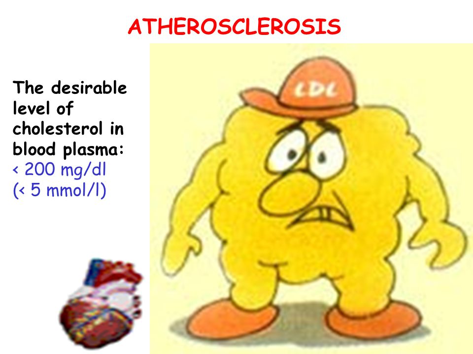 Regulation and pathology of lipid metabolism: obesity, atherosclerosis. -  ppt download