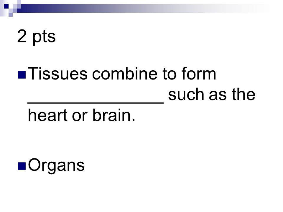 2 pts Tissues combine to form ______________ such as the heart or brain. Organs