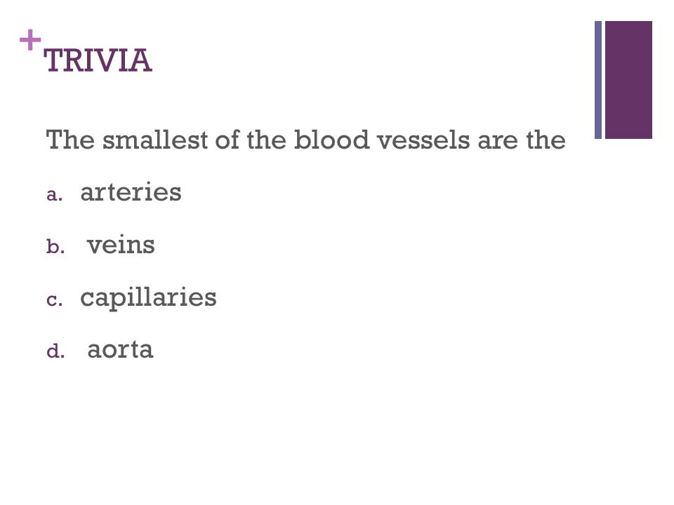 + TRIVIA The smallest of the blood vessels are the a. arteries b. veins c. capillaries d. aorta