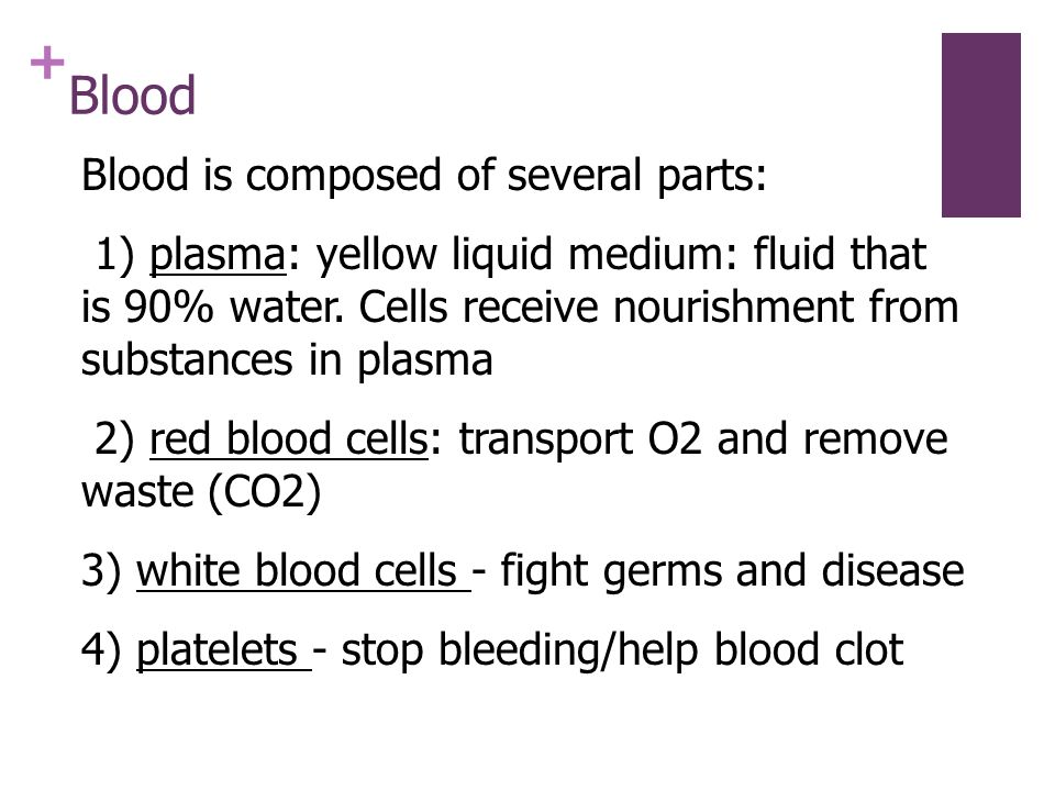 + Blood Blood is composed of several parts: 1) plasma: yellow liquid medium: fluid that is 90% water.