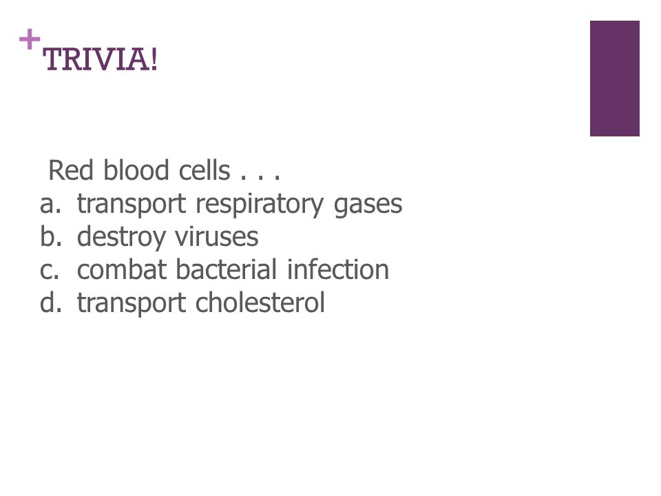+ TRIVIA. Red blood cells...