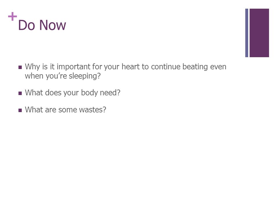 + Do Now Why is it important for your heart to continue beating even when you’re sleeping.